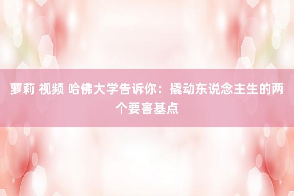 萝莉 视频 哈佛大学告诉你：撬动东说念主生的两个要害基点