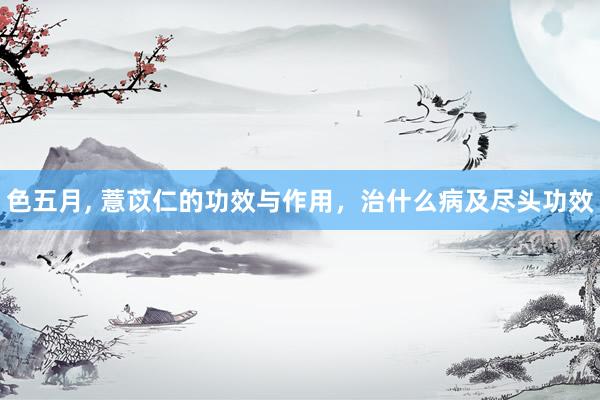 色五月， 薏苡仁的功效与作用，治什么病及尽头功效