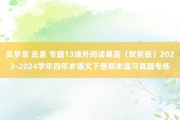 吴梦菲 反差 专题13课外阅读暴露（默契版）2023-2024学年四年岁语文下册期末温习真题专练